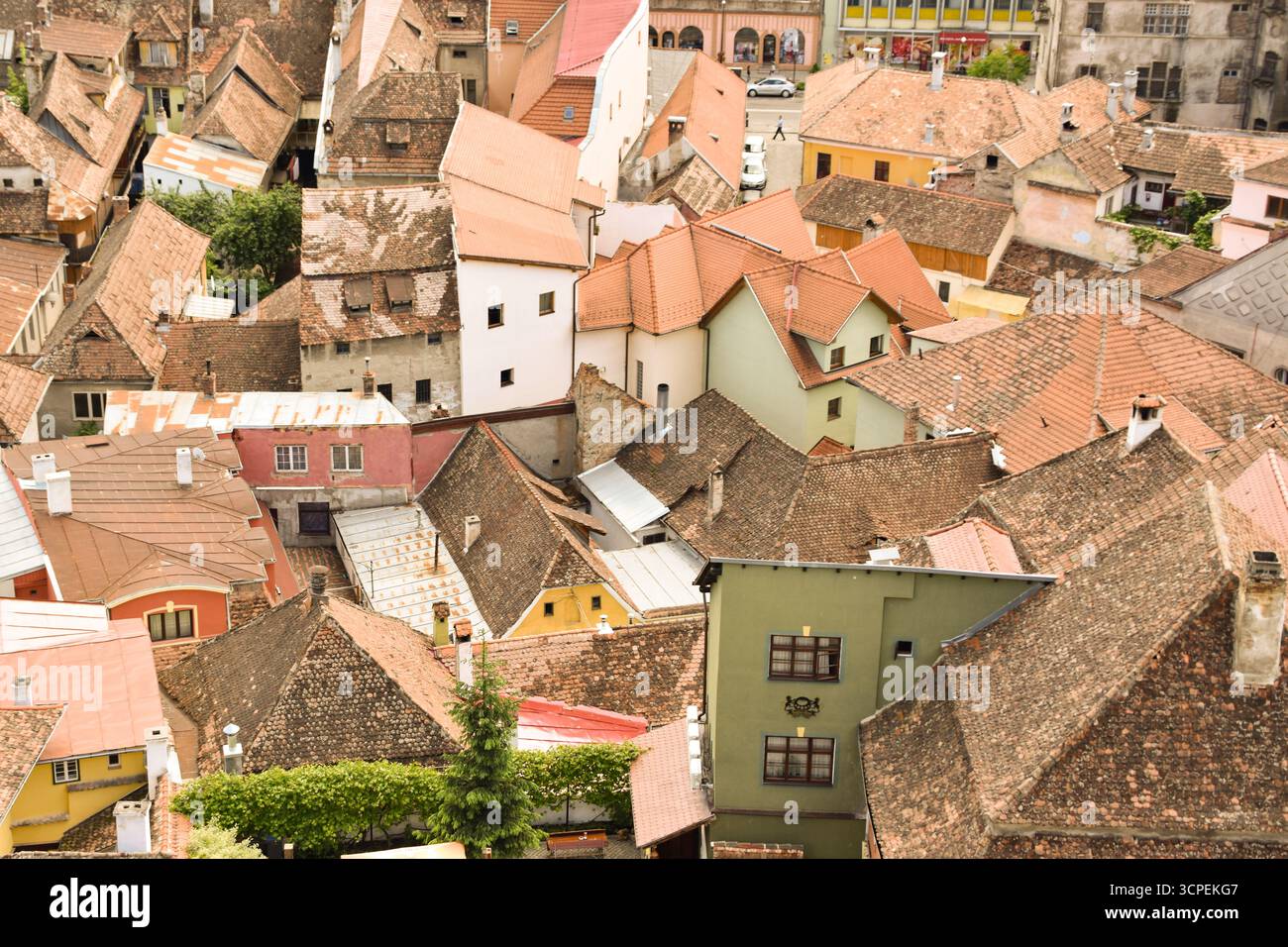Toits en terre cuite de Sighisoara, Roumanie Banque D'Images
