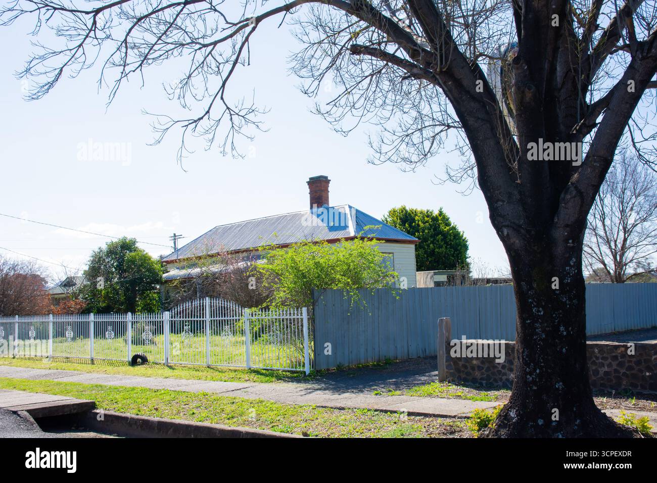 Un vieux bungalow avec véranda bullnose caché derrière une clôture de fer attrayante et par la végétation sauvage à Barraba NSW Australie. Banque D'Images
