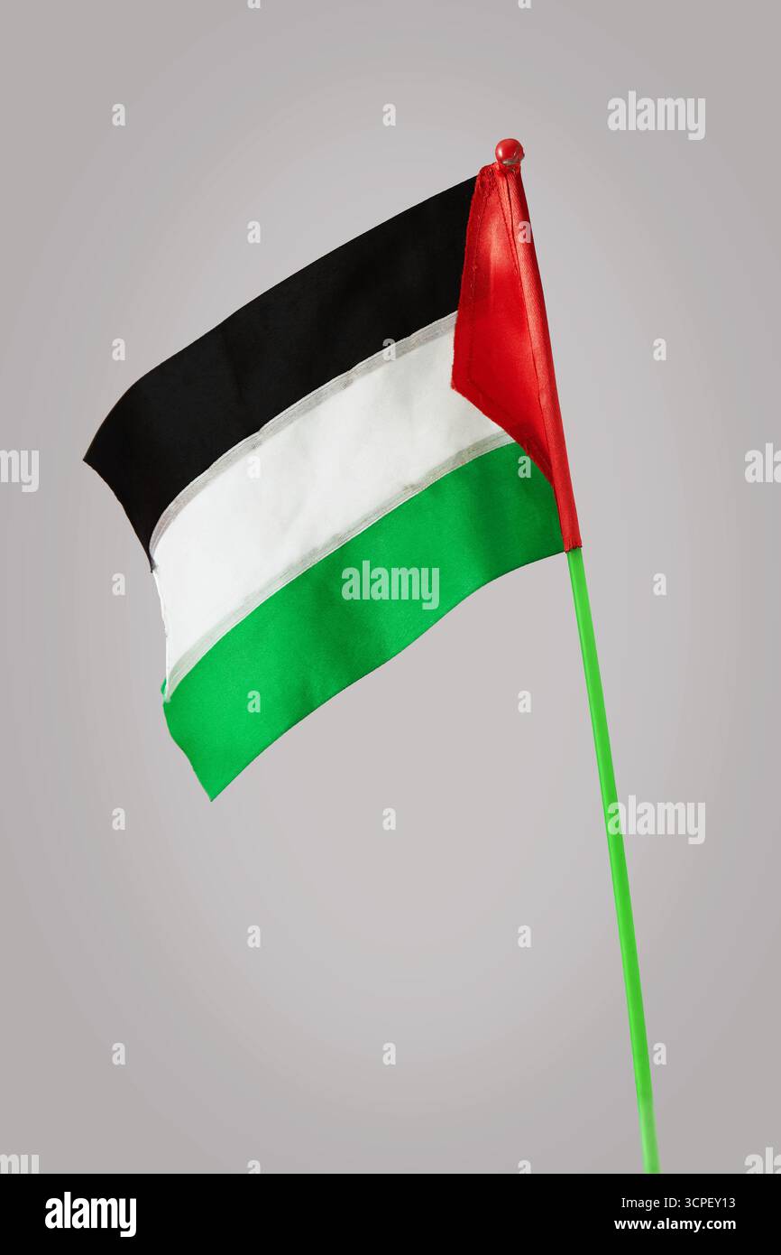 Un petit drapeau palestinien aux couleurs noir, blanc, vert et rouge sur un bâton vert, symbolisant l’identité, la fierté et la solidarité Banque D'Images