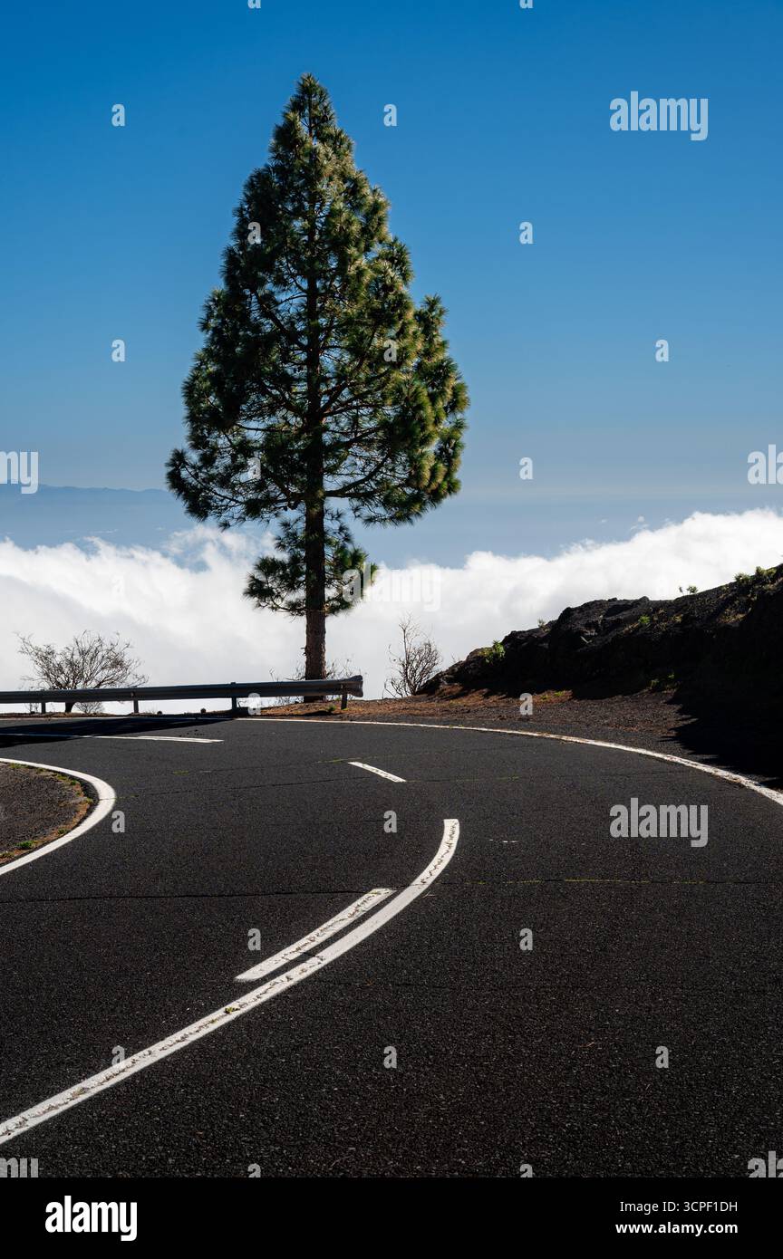 Un seul arbre se dresse sur le bord d'une falaise accidentée tandis qu'une route de montagne sinueuse courbe devant. Les nuages blancs dérivent sous la falaise sous un ciel bleu Banque D'Images
