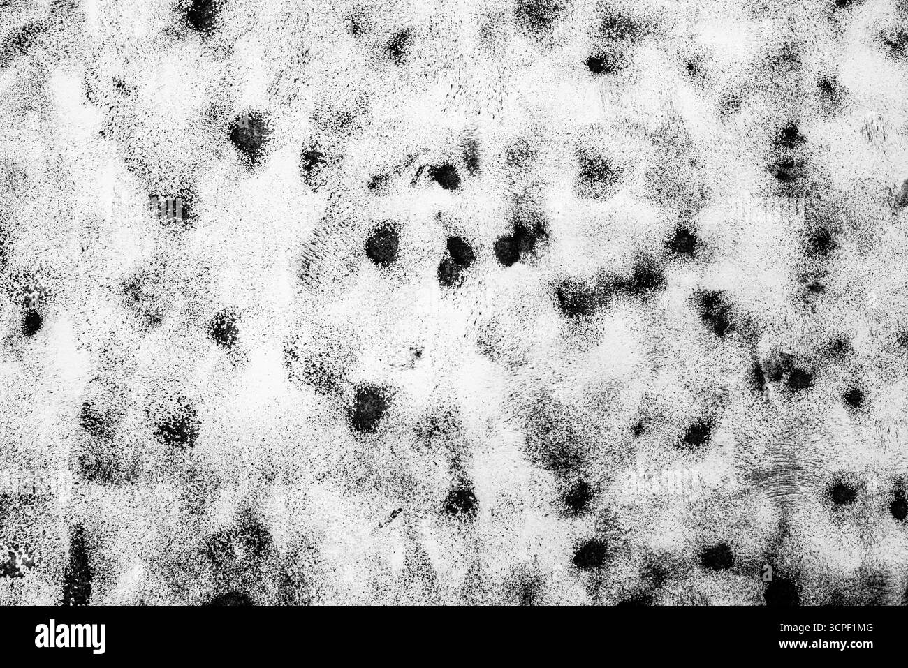 Texture faite avec de la gouache à l'aide d'une éponge à vaisselle. Texture de peinture noire sur feuille de papier blanc. Banque D'Images Texture faite avec de la gouache à l'aide d'une éponge à vaisselle. Texture de peinture noire sur feuille de papier blanc. Banque D'Images