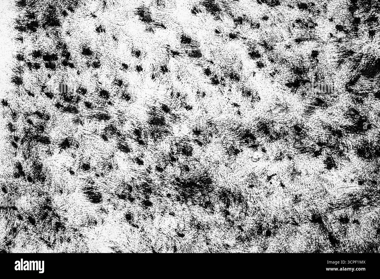 Texture faite avec de la gouache à l'aide d'une éponge à vaisselle. Texture de peinture noire sur feuille de papier blanc. Banque D'Images