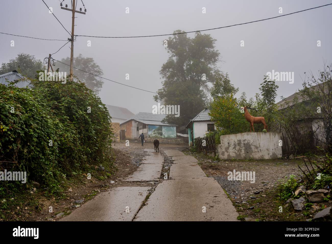 Une scène de rue brumeuse à Laza Qəbələ, Qabala, Azerbaïdjan, avec un étroit chemin de béton, des vaches en pâturage, des maisons de village, et une statue de cerf debout sur un co Banque D'Images