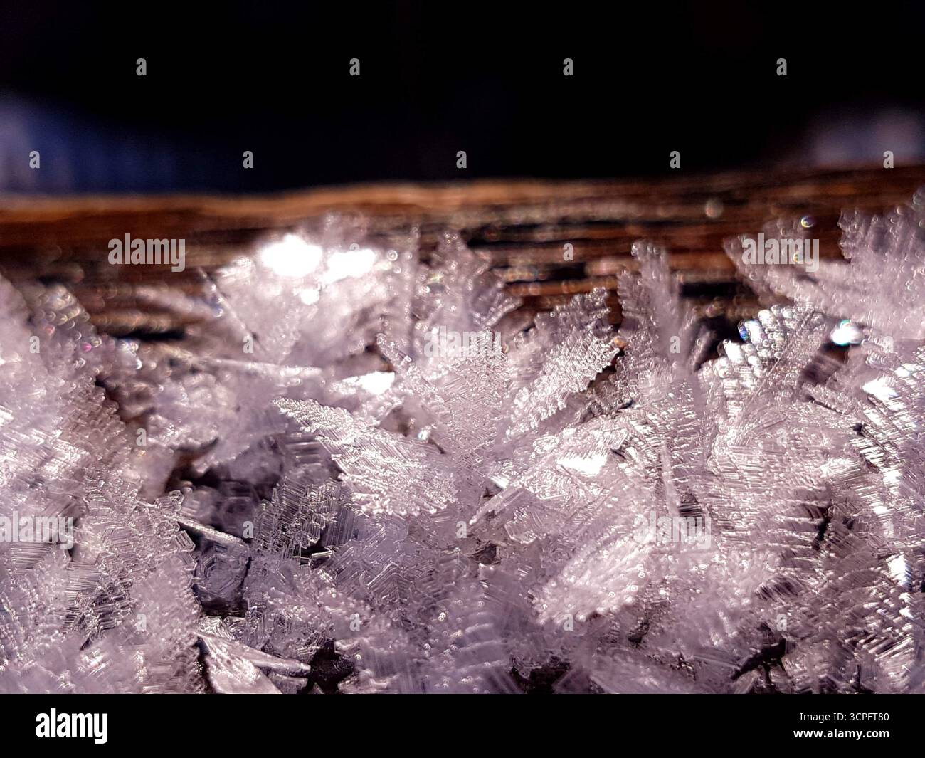 Gros plan de cristaux de glace scintillants uniques aux structures fines et aux détails étincelants sur un fond naturel sombre. Banque D'Images