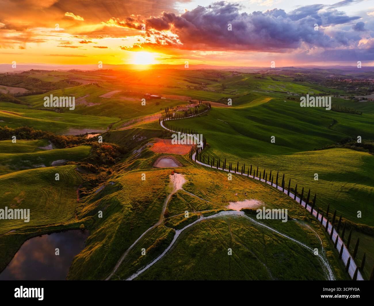 Vue aérienne d'une route sinueuse bordée de cyprès serpente à travers des collines verdoyantes sous un coucher de soleil ardent, Asciano, Toscane, Italie. Banque D'Images
