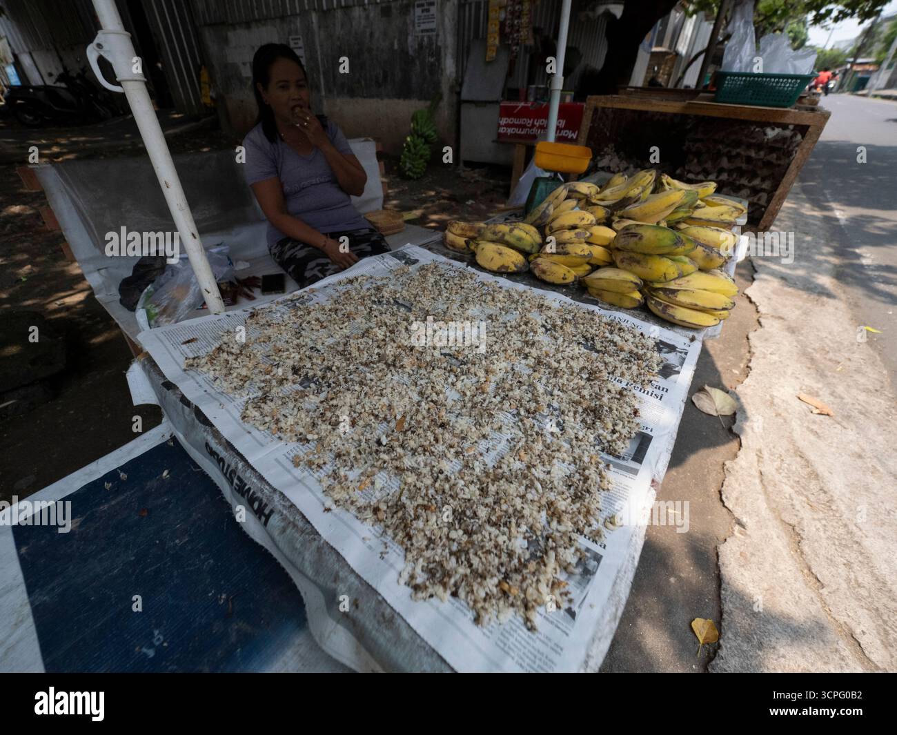 Femme locale vendant des larves de fourmis au marché local, pour la nourriture pour oiseaux, Bali, Indonésie Banque D'Images
