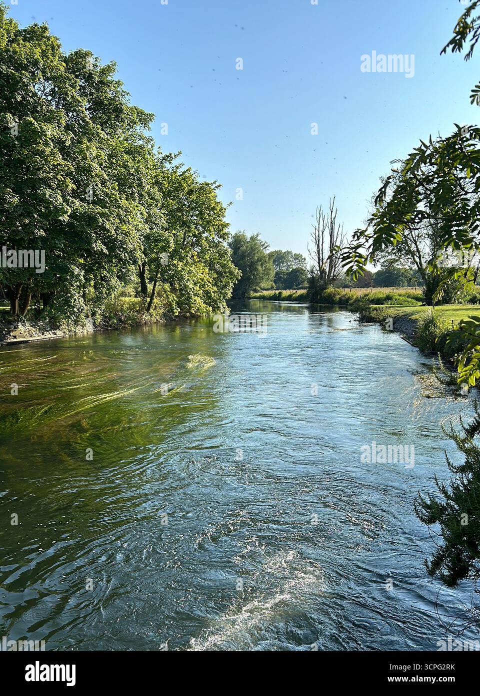 Vues estivales sur la rivière Avon près de Downton, Wiltshire, Royaume-Uni - Image de stock capturée avec un smartphone