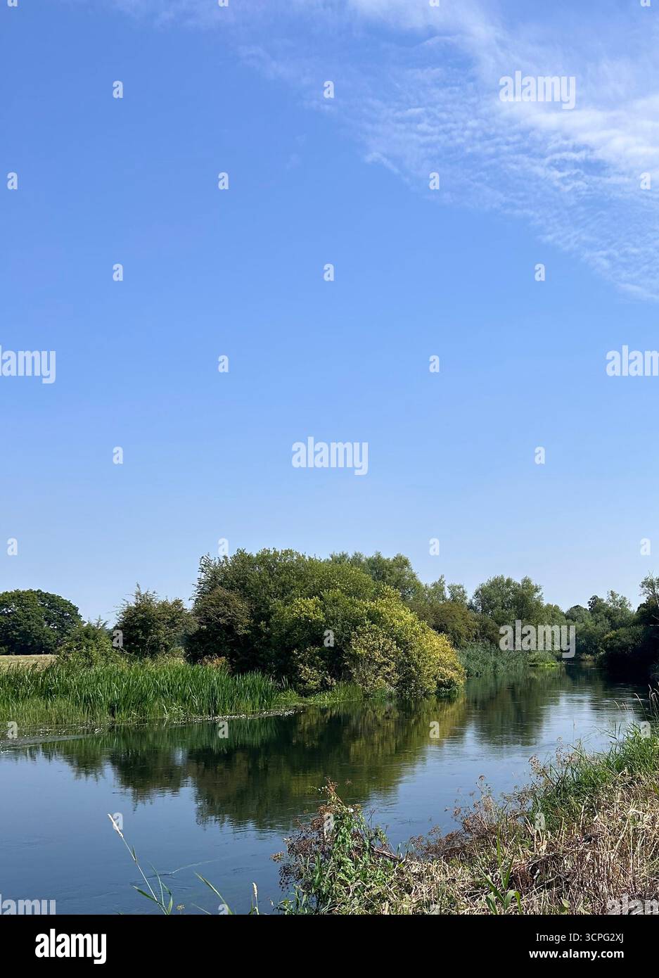 Vues estivales sur la rivière Avon près de Downton, Wiltshire, Royaume-Uni - Image de stock capturée avec un smartphone