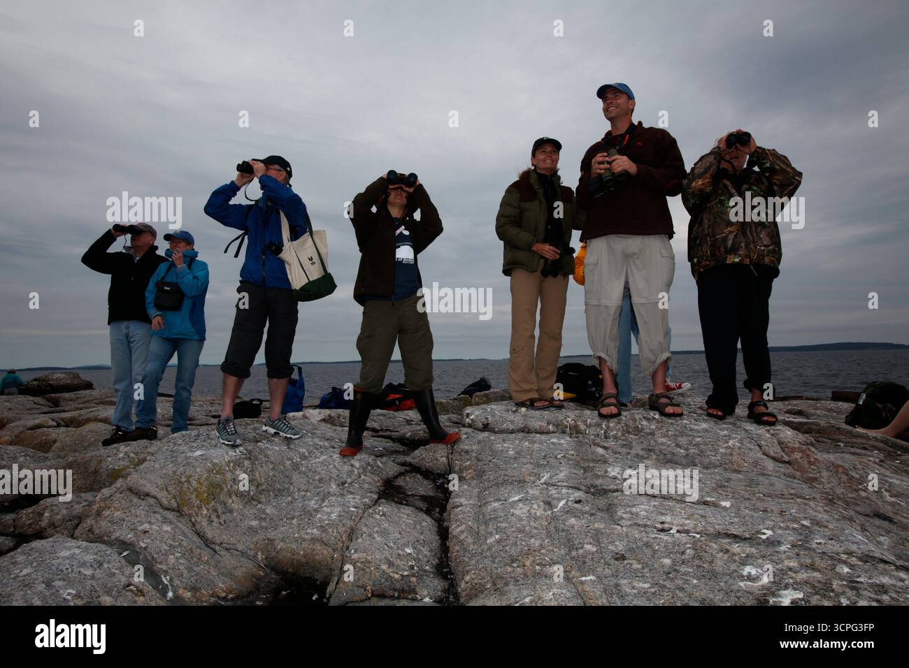 Visiteurs du projet Puffin sur Eastern Egg Rock Island, Maine. Banque D'Images