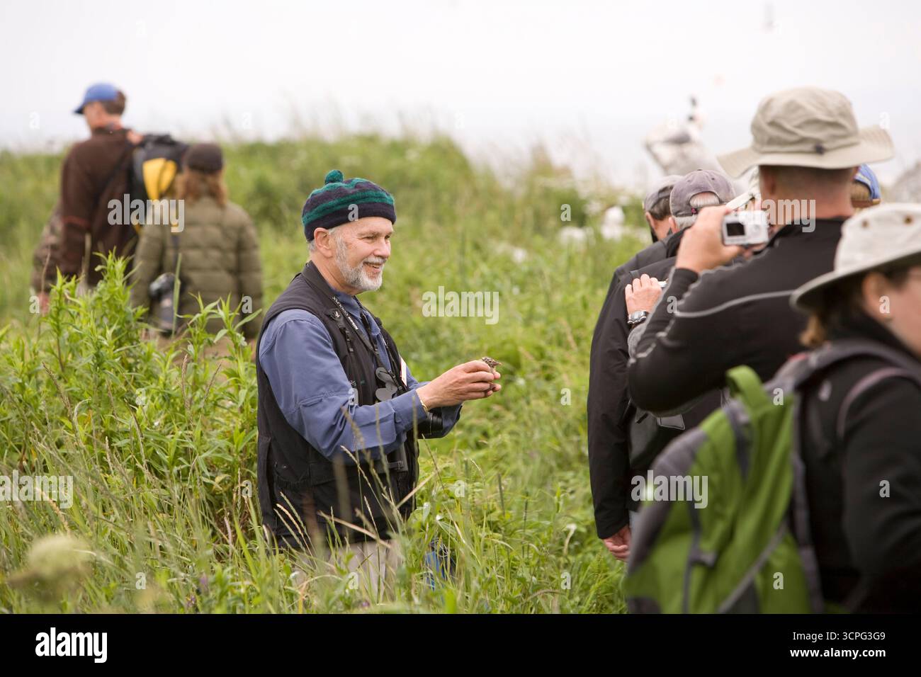 Steve Kress, fondateur et directeur du projet Puffin sur l'île d'origine où le projet a commencé, Eastern Egg Rock Island, dans le Maine. Banque D'Images
