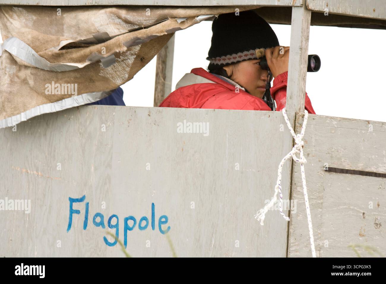 Projet Puffin Eastern Egg Rock Island, Maine Banque D'Images
