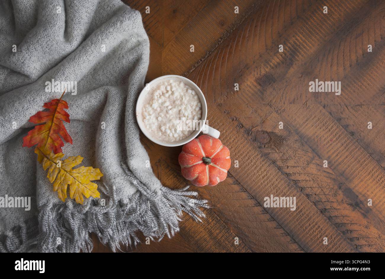 Vue aérienne de la tasse de cacao sur la table d'automne avec espace pour le texte Banque D'Images