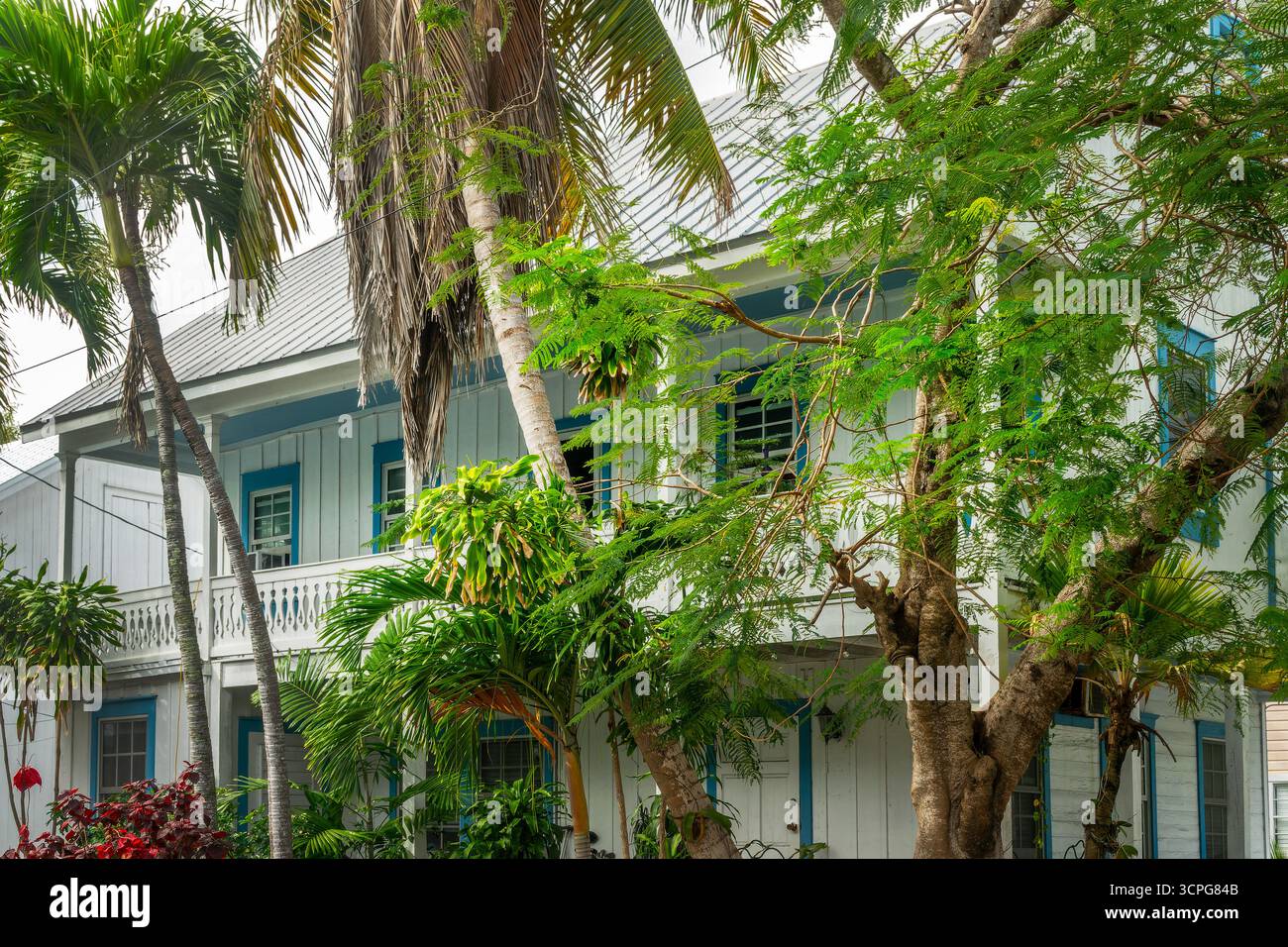 Maison de conque avec une arrière-cour tropicale, architecture de couleurs vibrantes à Key West, Floride Banque D'Images