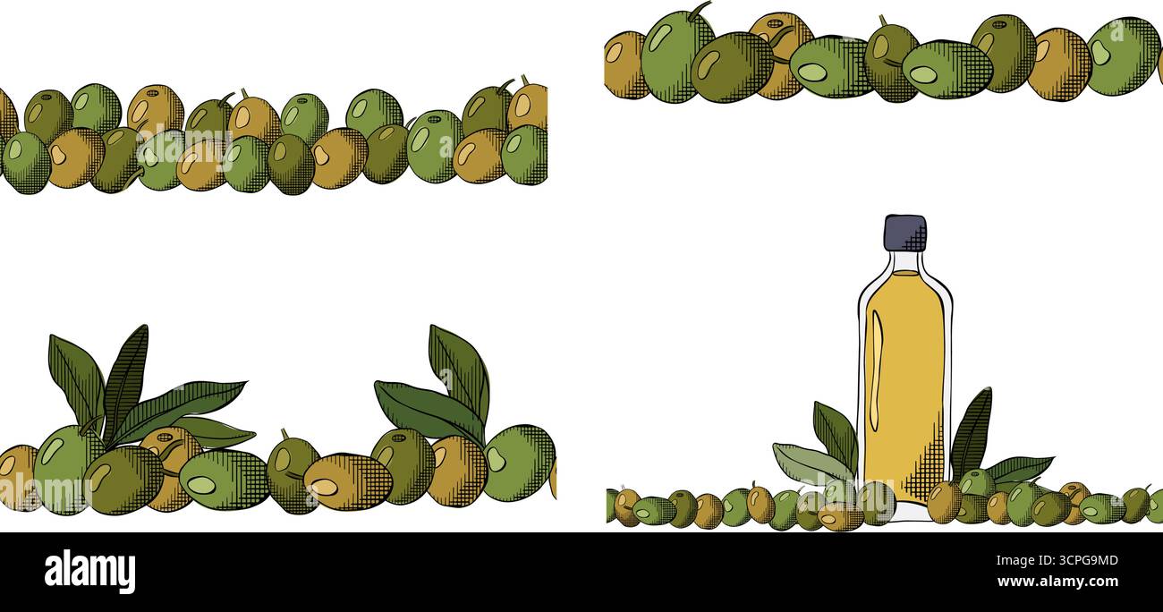 Olive Berry, huile et feuilles bordure sans couture ensemble horizontal. Illustration vectorielle en couleur à l'encre de la ligne graphique. Signe de silhouette pour logo, impression, bandes dessinées, fas Illustration de Vecteur