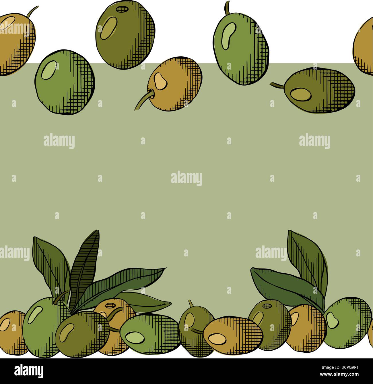 Olive Berry avec feuilles modèle de cadre horizontal de bordure sans couture. Illustration vectorielle en couleur à l'encre de la ligne graphique. Desig. Emballage vintage méditerranéen Illustration de Vecteur