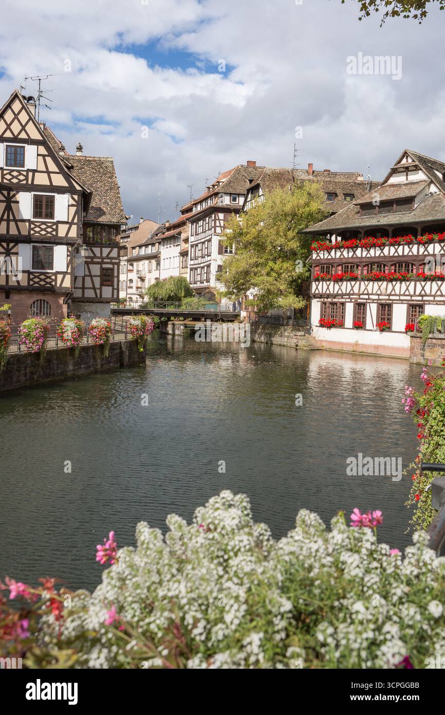 Le centre-ville historique de Strasbourg, France, avec des maisons à colombages et une décoration florale Banque D'Images