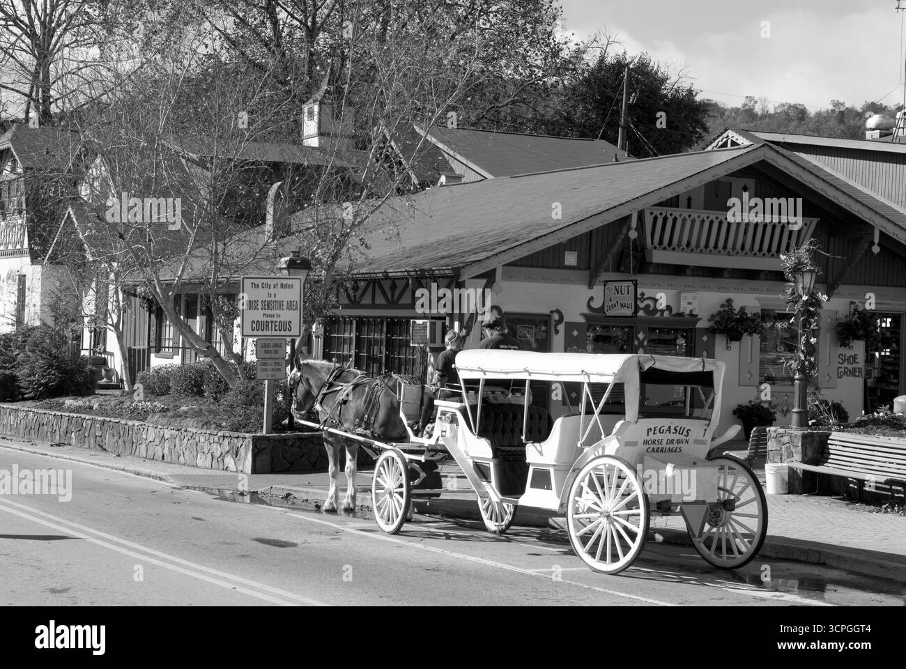 Calèche tirée à Helen, Géorgie, États-Unis, offrant des promenades de mariage et un service de ramassage à l'hôtel. Banque D'Images