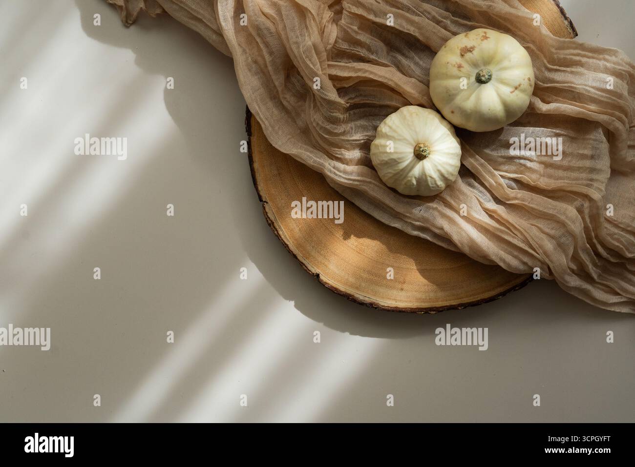 Vue de dessus de citrouilles décoratives blanches, tissu transparent, tranche de bois, fond clair, espace de copie, ombres douces. Modèle d'invitation. Concept d'automne Banque D'Images