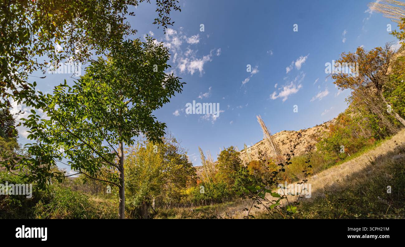 Une vue panoramique sur un paysage de montagne sous un ciel bleu clair, entouré d'arbres verdoyants. La perspective grand angle capture la beauté de la nature Banque D'Images