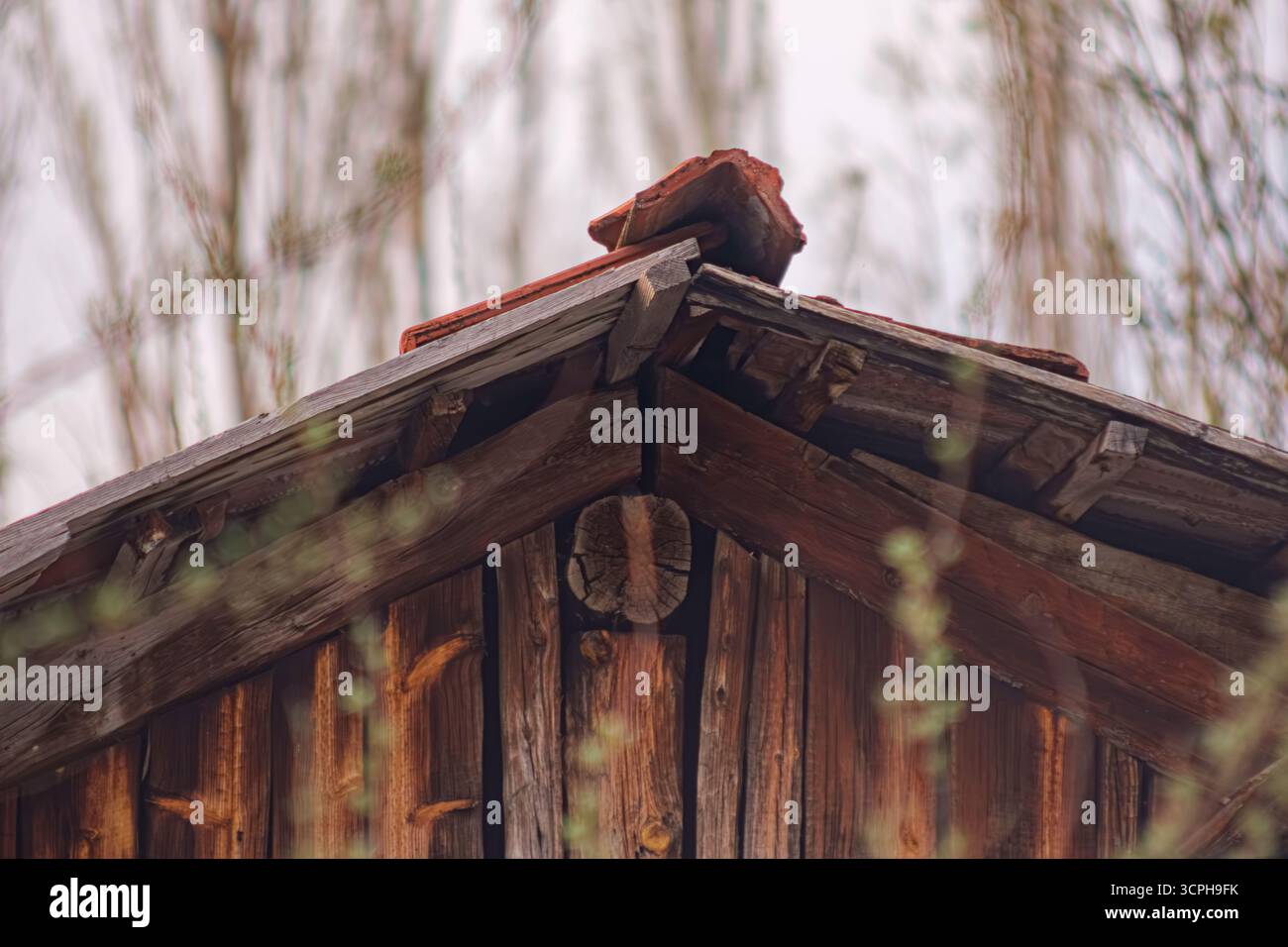 Toit rustique en bois avec textures naturelles et bois vieilli. Architecture traditionnelle mettant en valeur le bois altéré et le charme vintage dans un extérieur serein. Banque D'Images