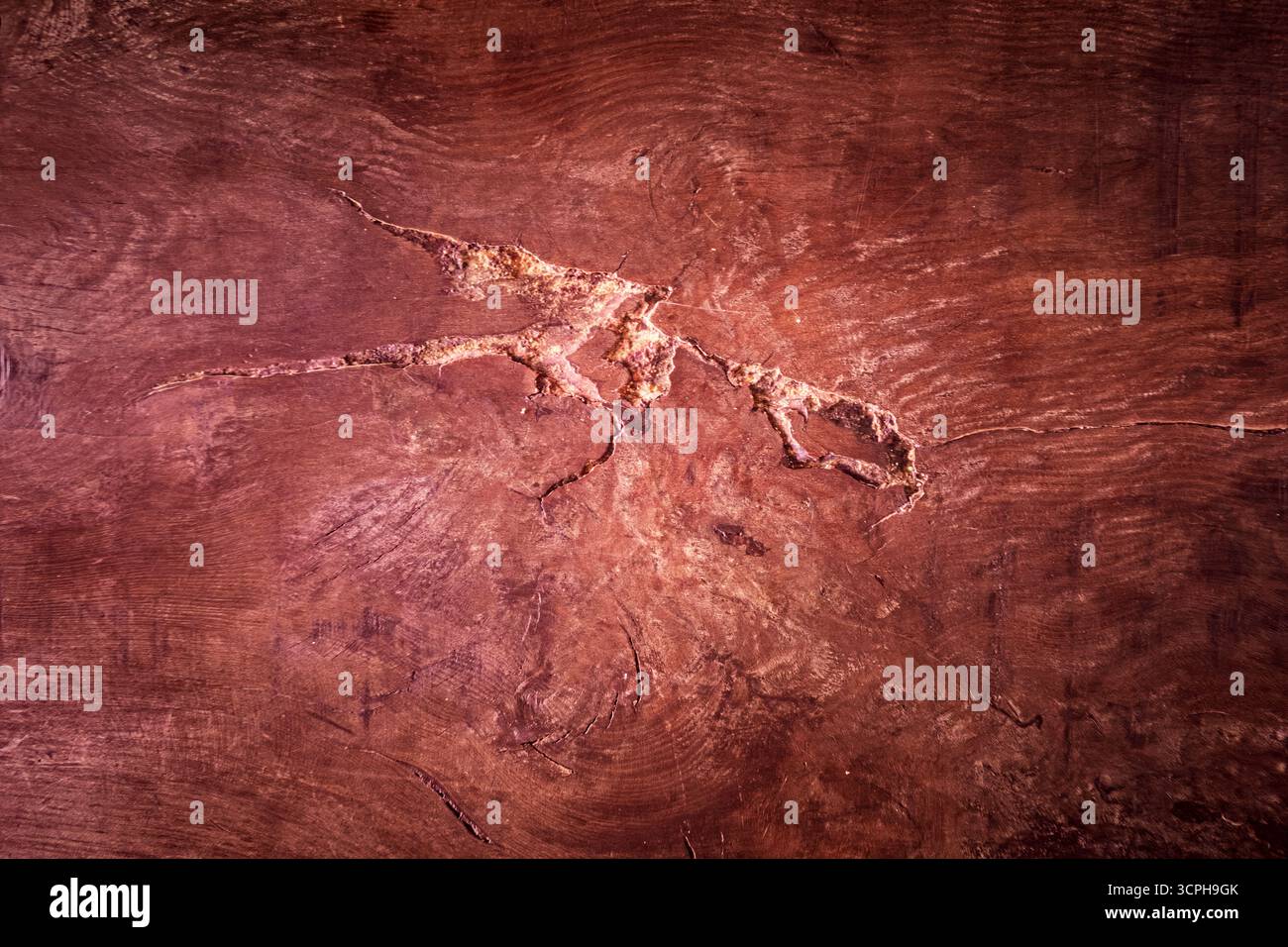 Texture en bois rustique avec des fissures et des motifs naturels. Vue rapprochée mettant en évidence le bois vieilli. Banque D'Images Texture en bois rustique avec des fissures et des motifs naturels. Vue rapprochée mettant en évidence le bois vieilli. Banque D'Images