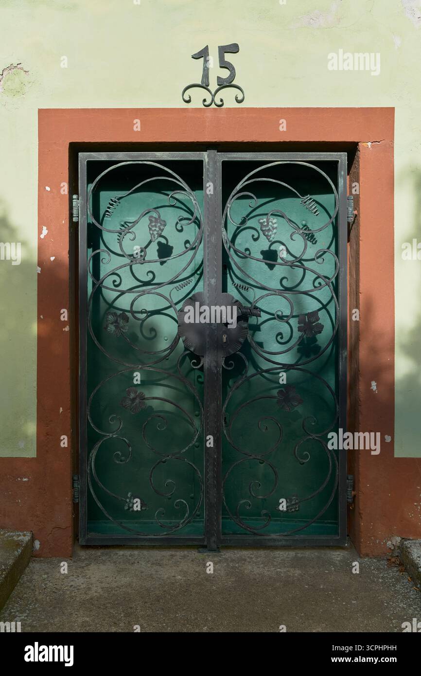 Porte d'entrée verte ornée d'une grille en fer forgé en forme de vrilles de vigne, avec le numéro 15 ci-dessus. Charmant détail rustique, sty européen Banque D'Images