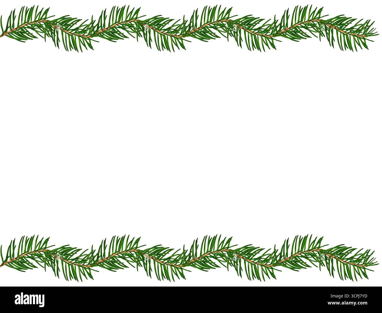 Bordure minimaliste à feuilles persistantes avec des branches de sapin sur fond blanc. Banque D'Images