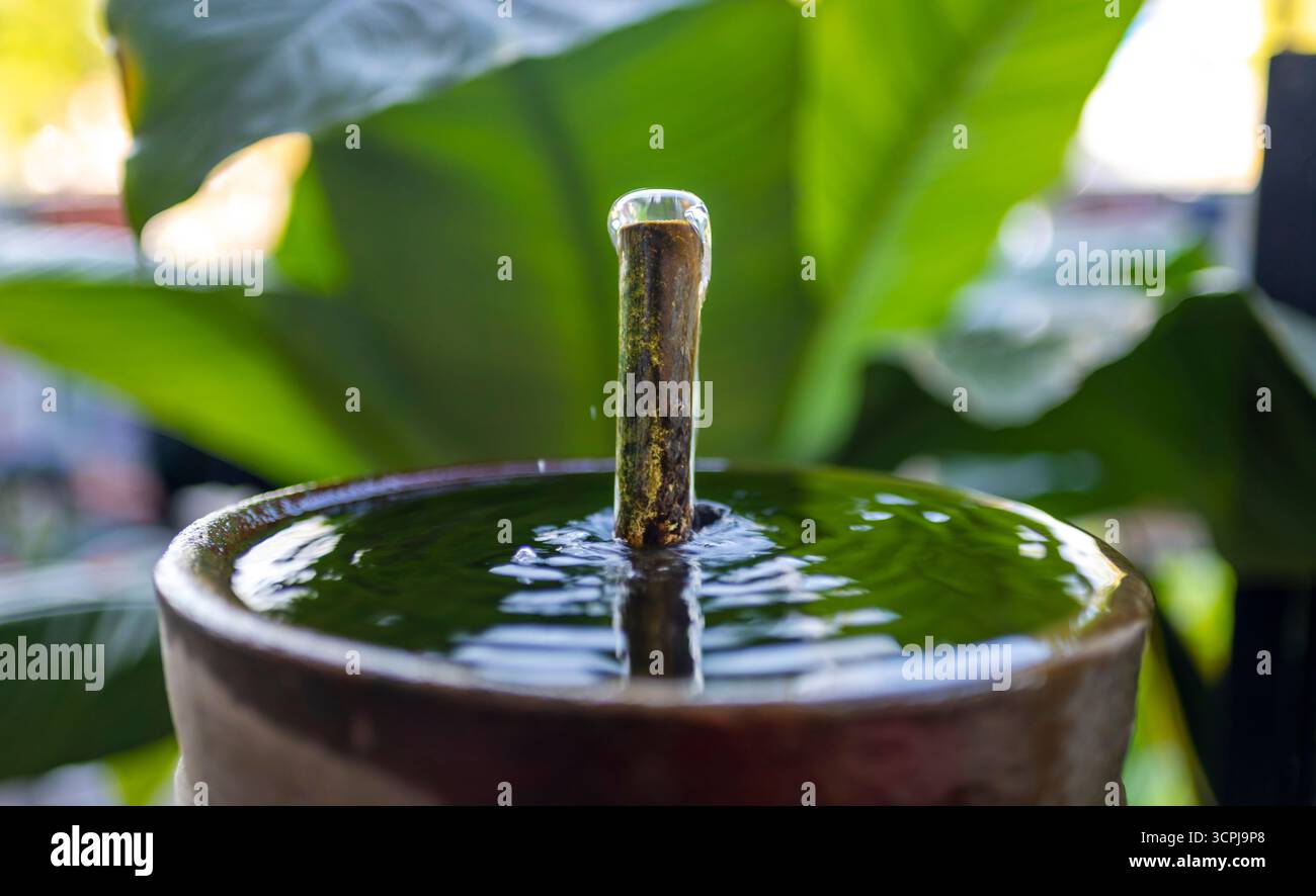 Entourée de plantes tropicales, l'eau propre se recueille dans un récipient en métal concave rond, où elle déborde dans un autre récipient ci-dessous. Banque D'Images