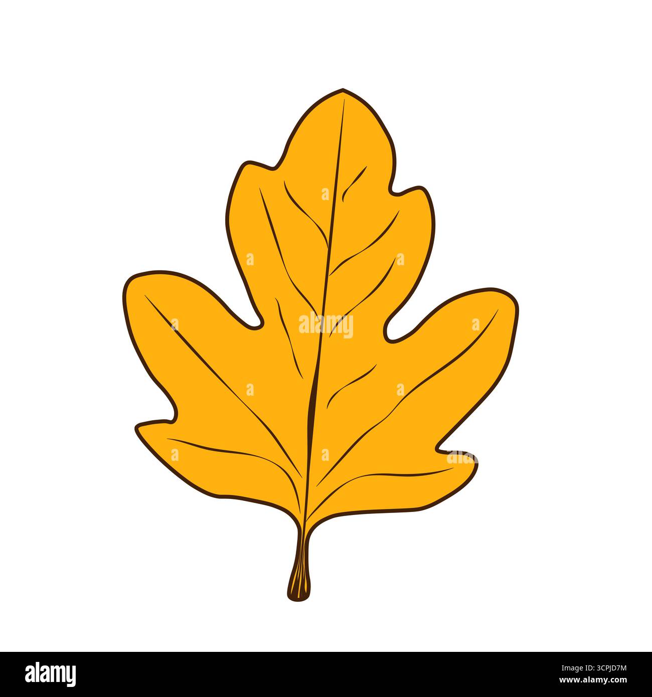 La feuille tombée d'automne est orange avec des stries sur un fond blanc. Une feuille de dessin animé isolée pour les dessins d'automne. Illustration de Vecteur