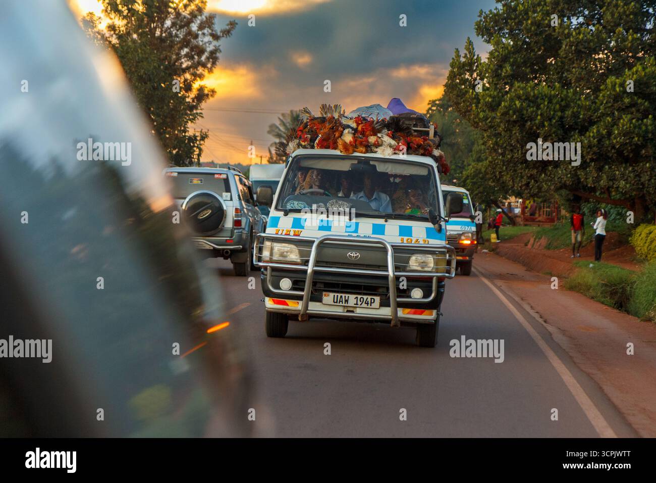 Un taxi typique ougandais (« matatu ») transportant de nombreux poulets vivants attachés à son toit. Banque D'Images