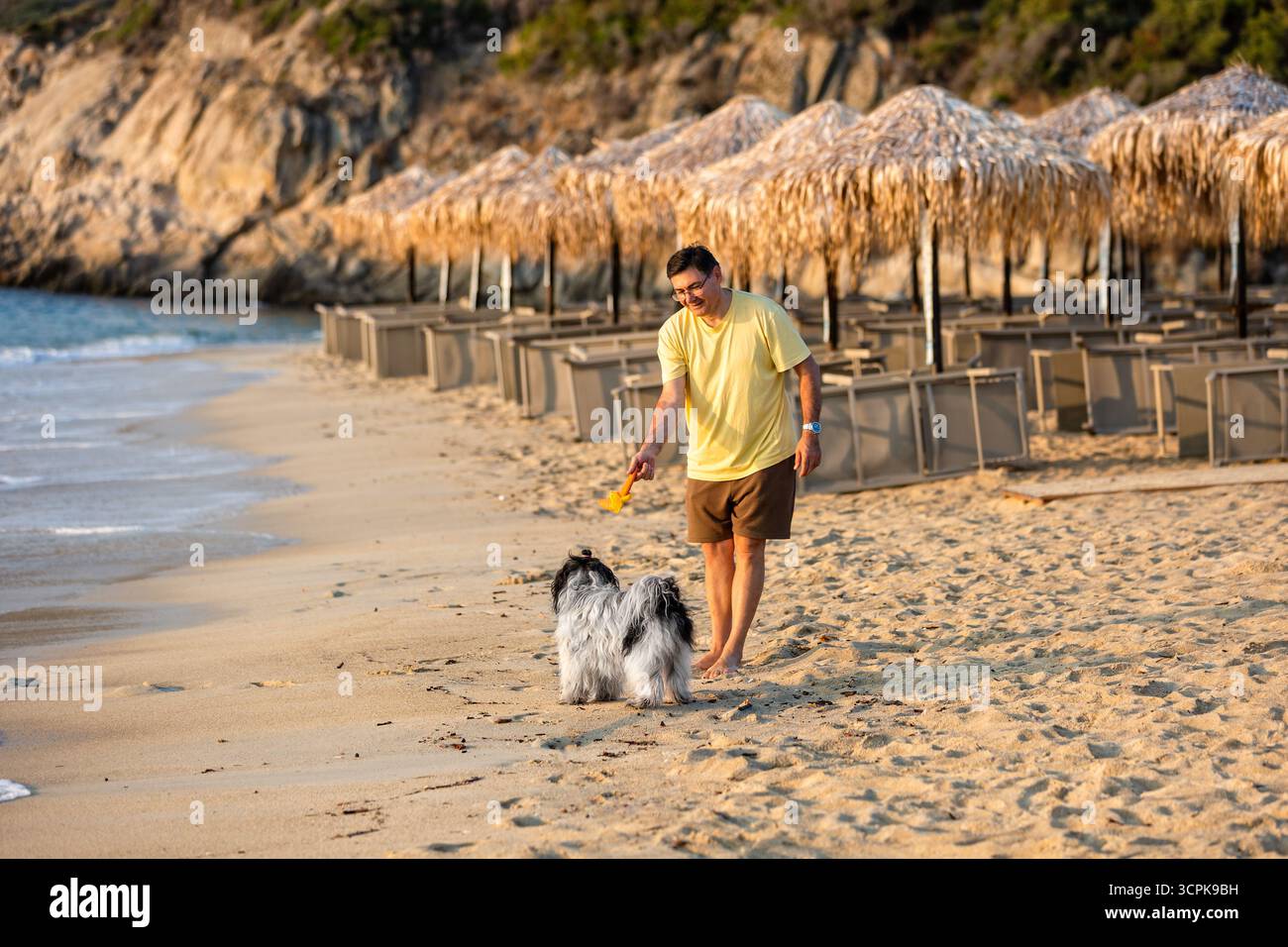 Balle de chasse de chien sur la plage de sable avec l'homme au lever du soleil doré Banque D'Images