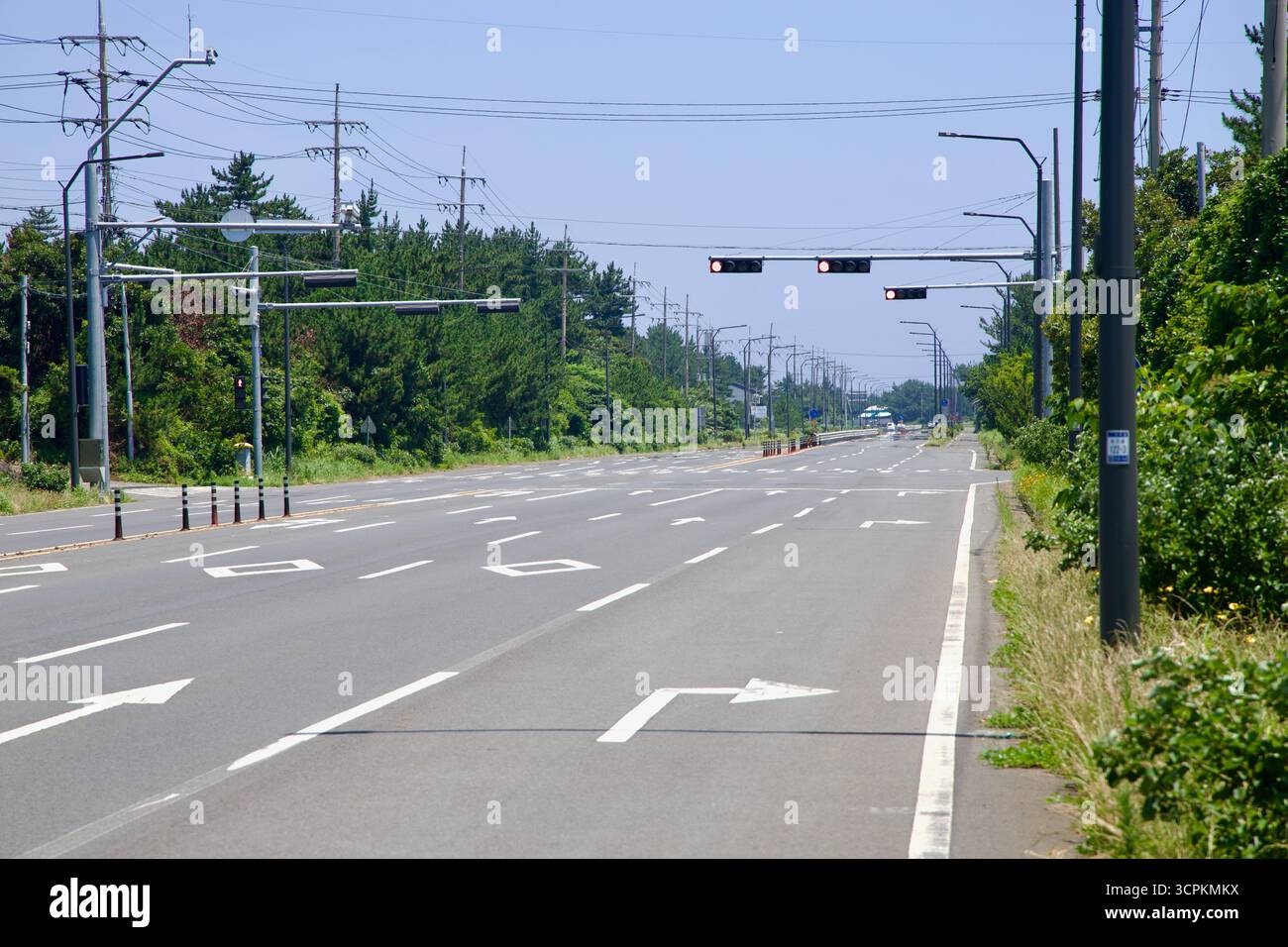 La route Iljudong à voies multiples sur la côte est de Jeju montre des signaux aériens, des poteaux électriques et des pins côtiers à côté de la chaussée, avec de larges accotements et Banque D'Images