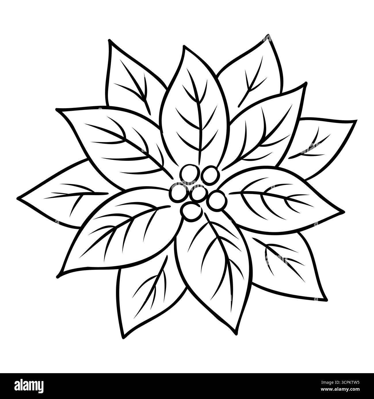 Poinsettia fleur dans le style de contour mince. Elément floral décoratif de Noël. Illustration isolée vectorielle dessinée à la main Illustration de Vecteur