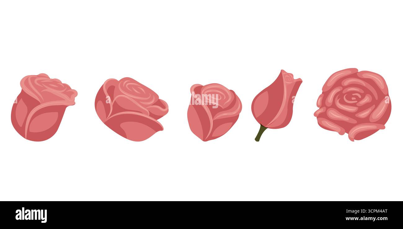 Ensemble de roses roses poussiéreuses pour votre conception. Illustration vectorielle isolée sur fond blanc. Illustration de Vecteur Ensemble de roses roses poussiéreuses pour votre conception. Illustration vectorielle isolée sur fond blanc. Illustration de Vecteur