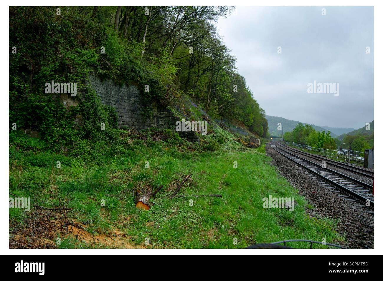 Vue dégagée sur le site abandonné de la gare ferroviaire d'Eastwood dans le Yorkshire, montrant des voies envahies par la végétation, des collines luxuriantes et un mur de soutènement. Banque D'Images