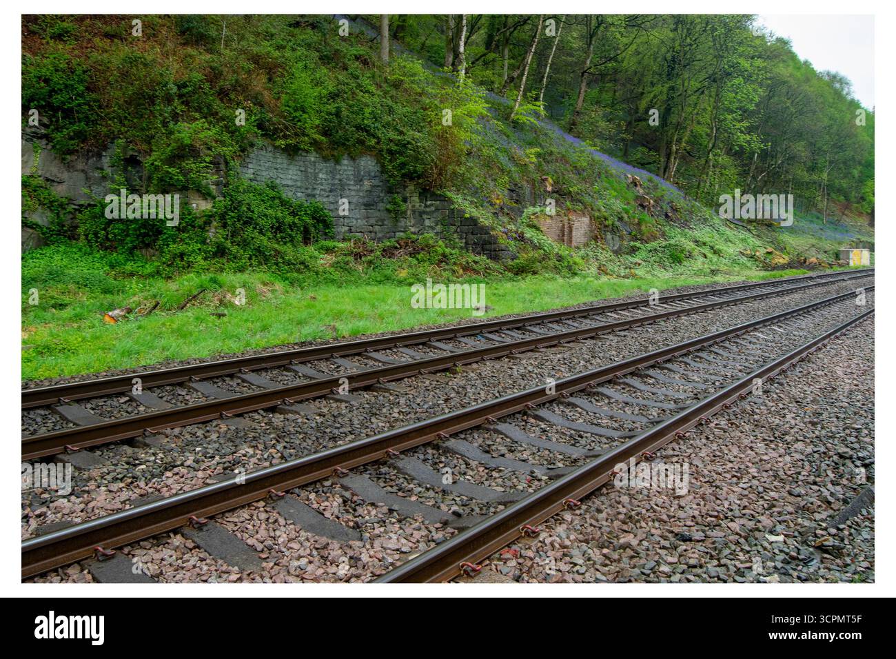 Des pistes traversent le site abandonné de la gare ferroviaire d'Eastwood, flanqué d'un mur de soutènement, d'une colline boisée et de notes de bluebells. Banque D'Images