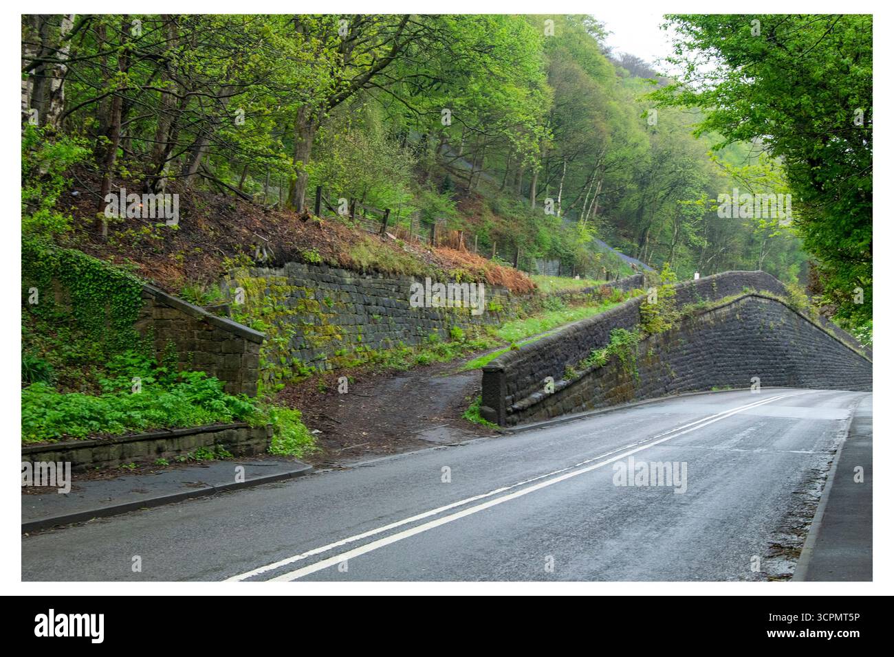 La route rencontre une colline luxuriante à l'entrée abandonnée du site de la gare ferroviaire d'Eastwood, avec des murs de pierre et une forêt dense sous un ciel couvert Banque D'Images