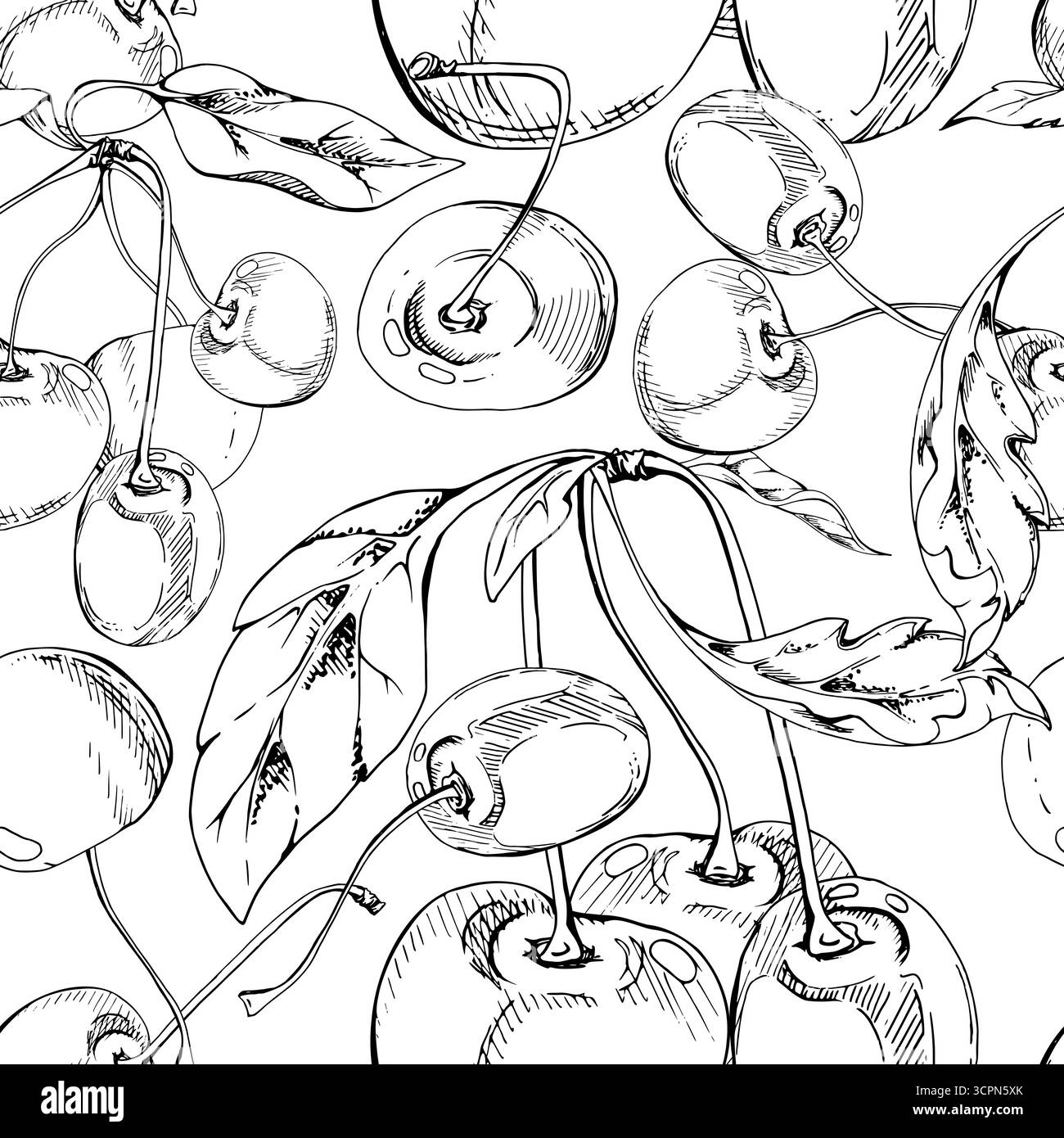 Cerise de ligne aigre douce cerise avec des feuilles de plantes, encre vectorielle dessinée à la main, baie de jardin en grappes sur les branches. Illustration de papier peint de motif sans couture Illustration de Vecteur Cerise de ligne aigre douce cerise avec des feuilles de plantes, encre vectorielle dessinée à la main, baie de jardin en grappes sur les branches. Illustration de papier peint de motif sans couture Illustration de Vecteur