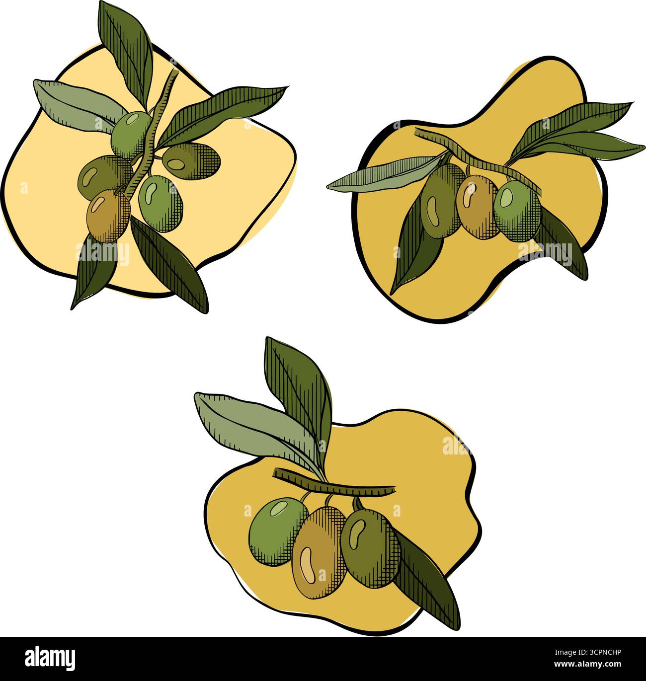 Ensemble isolé de branches de baies d'olivier. Illustration vectorielle en couleur à l'encre de la ligne graphique. Pour créer des logos, des motifs, des cartes de vœux, des invitations de mariage. Vect Illustration de Vecteur