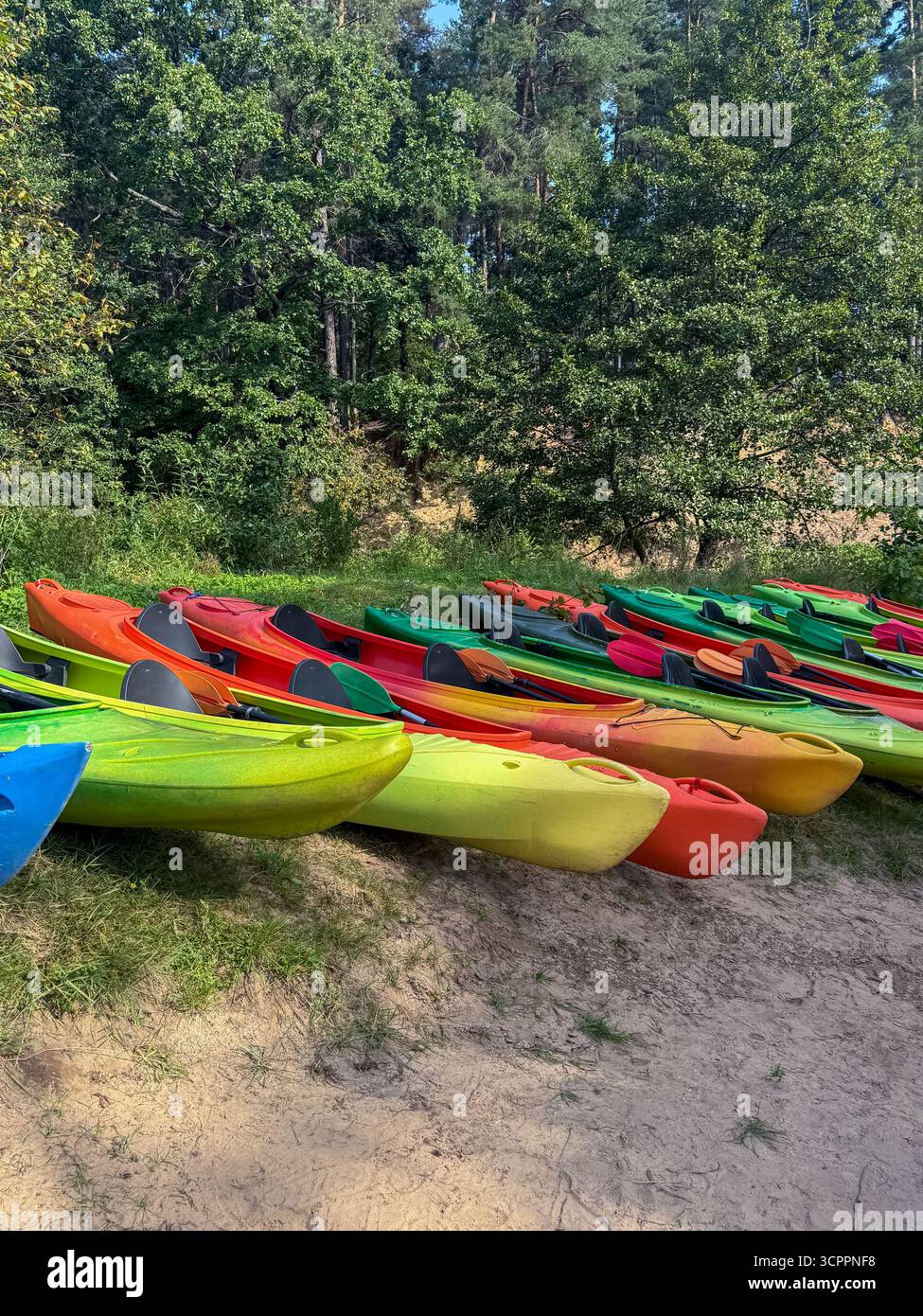 Plusieurs kayaks vibrants disposés sur un lac sablonneux sous la lumière du soleil, mettant en valeur les loisirs de plein air, les sports nautiques et les activités estivales - Image de stock capturée avec un smartphone