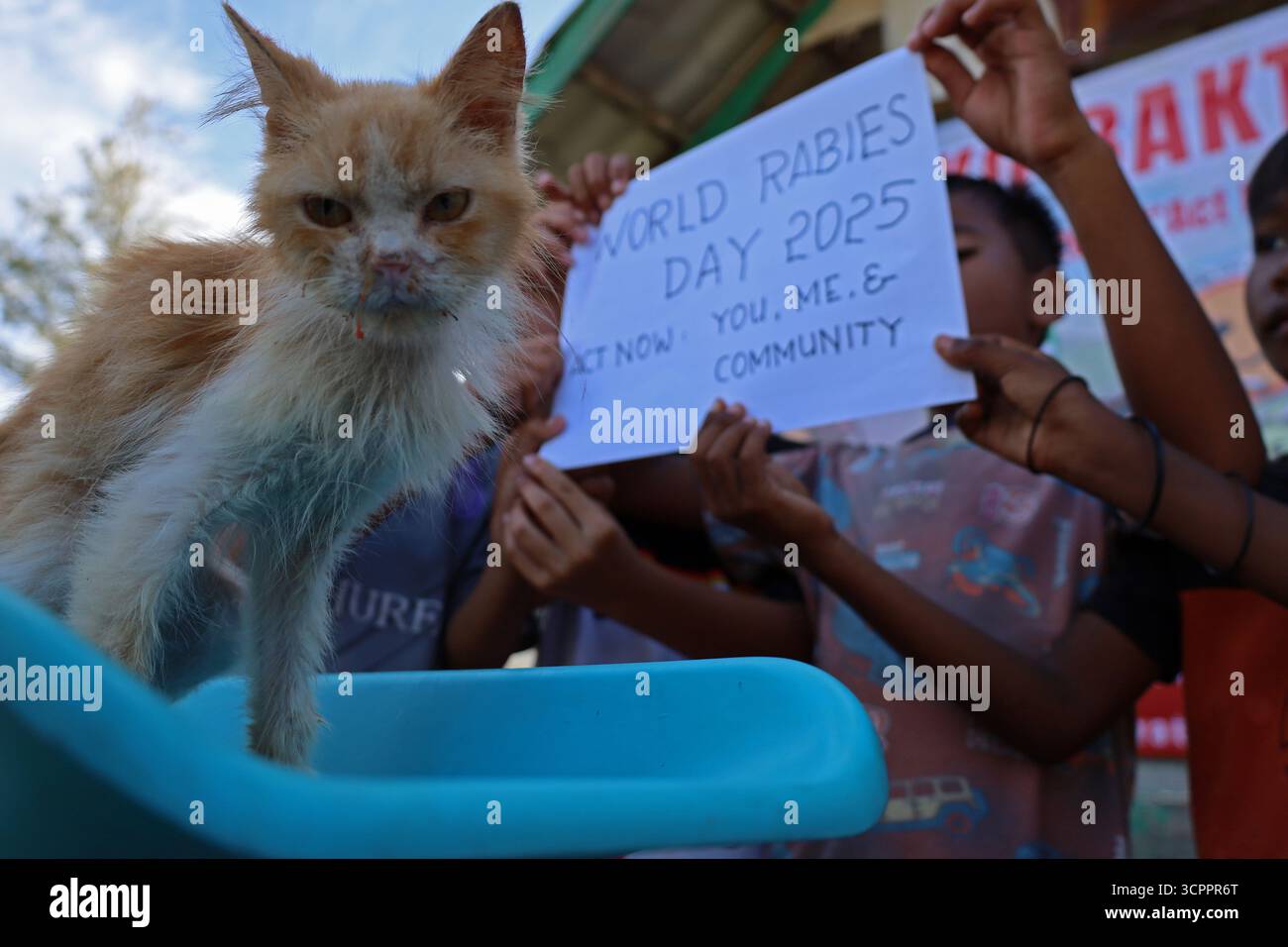 Aceh Besar, Aceh, Indonésie. 27 septembre 2025. Des enfants amènent des chats errants dans de mauvaises conditions pour être vaccinés lors de la commémoration de la Journée mondiale de la rage 2025 dans le district de Pulo Aceh, régence d'Aceh Besar, Aceh, Indonésie, le samedi 27 septembre, 2025. cette action de service social menée en collaboration avec l'Association indonésienne des chats (ICA) Aceh, les amoureux des chats Banda Aceh (CLBA) et les membres du gouvernement de la régence d'Aceh Besar s'inscrit dans le cadre d'activités préventives visant à prévenir la propagation de la rage dans les îles périphériques de l'Indonésie par des injections de vaccin contre la rage chez les chats errants, les chats et les chiens de compagnie. (Crédit image : © K Banque D'Images