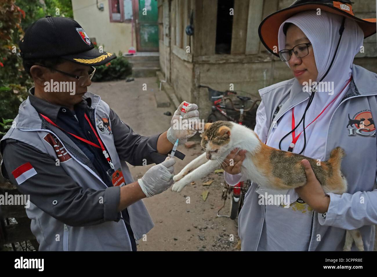 Aceh Besar, Aceh, Indonésie. 27 septembre 2025. Un médecin injecte le vaccin antirabique à un chat de compagnie appartenant à un citoyen lors de la commémoration de la Journée mondiale de la rage 2025 dans le district de Pulo Aceh, régence d'Aceh Besar, Aceh, Indonésie, le samedi 27 septembre, 2025. cette action de service social menée en collaboration avec l'Association indonésienne des chats (ICA) Aceh, les amoureux des chats Banda Aceh (CLBA) et les membres du gouvernement de la régence d'Aceh Besar s'inscrit dans le cadre d'activités préventives visant à prévenir la propagation de la rage dans les îles périphériques de l'Indonésie par des injections de vaccin contre la rage chez les chats errants, les chats et les chiens de compagnie. (Image crédit : Banque D'Images