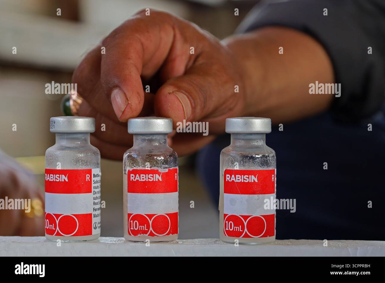 Aceh Besar, Aceh, Indonésie. 27 septembre 2025. Un médecin prépare une dose de vaccin antirabique lors de la commémoration de la Journée mondiale de la rage 2025 dans le district de Pulo Aceh, régence d'Aceh Besar, Aceh, Indonésie, le samedi 27 septembre, 2025. cette action de service social menée en collaboration avec l'Association indonésienne des chats (ICA) Aceh, les amoureux des chats Banda Aceh (CLBA) et les membres du gouvernement de la régence d'Aceh Besar s'inscrit dans le cadre d'activités préventives visant à prévenir la propagation de la rage dans les îles périphériques de l'Indonésie par des injections de vaccin contre la rage chez les chats errants, les chats et les chiens de compagnie. (Crédit image : © Khairu Syukrillah/ZUMA Banque D'Images