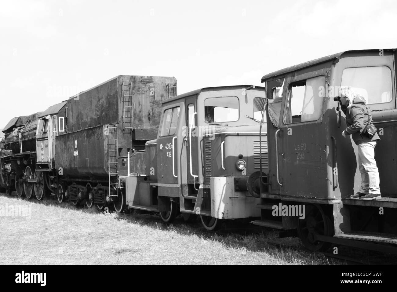 Locomotives anciennes exposées au Musée en plein air du matériel roulant à Pyskowice, Silésie, Pologne, avril. Une femme explore des trains historiques. Banque D'Images