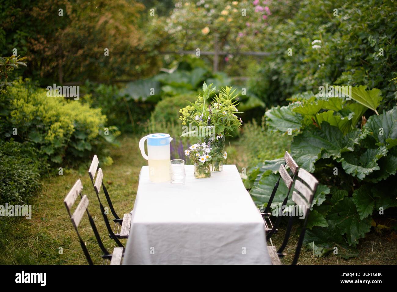 Pot de fleurs et cruche sur la table à manger couverte de nappe près des plantes dans la cour arrière Banque D'Images