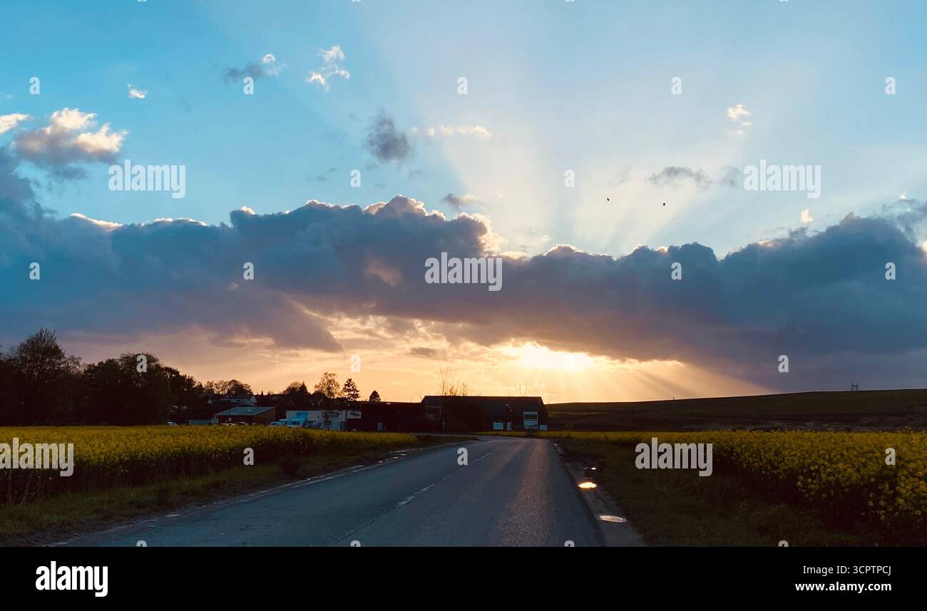 Route de campagne au coucher du soleil avec champs fleuris et village sous ciel dramatique Banque D'Images