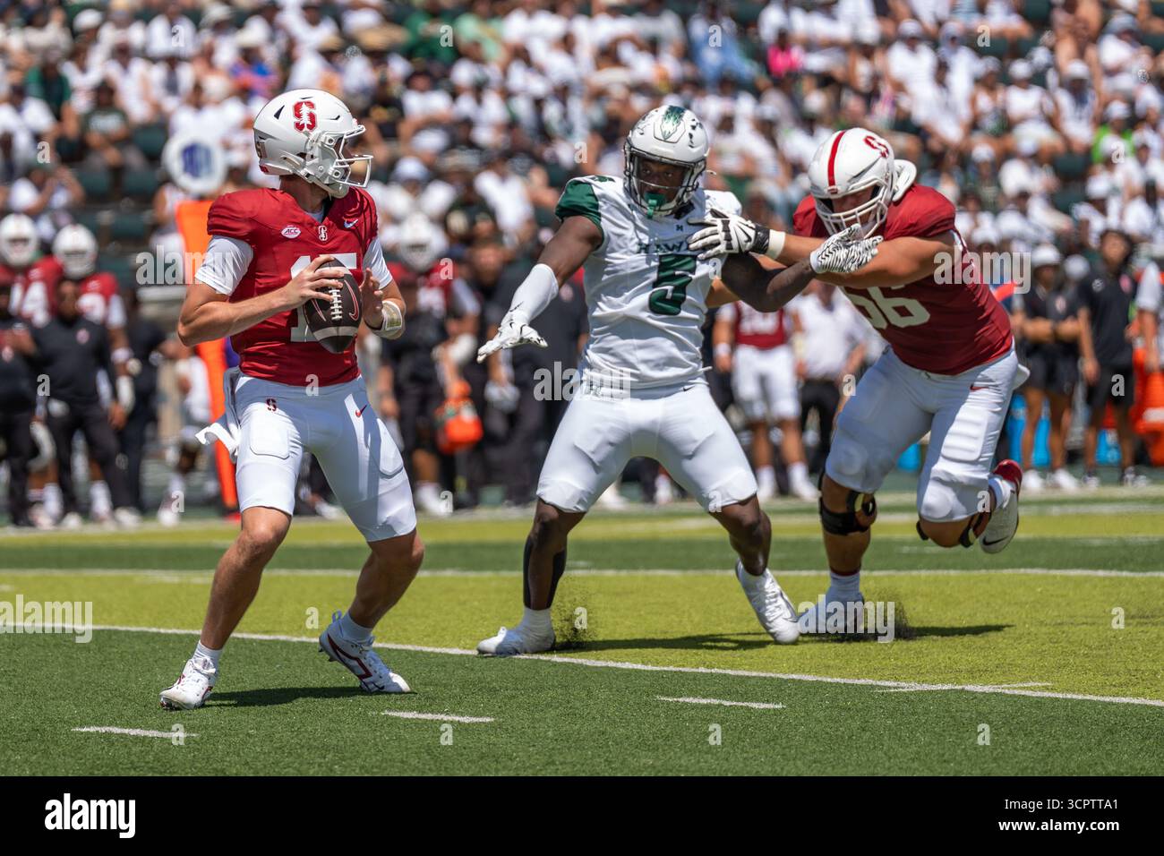 Redshirt quarterback senior #15 pour Stanford est prêt à lancer lors d'un match à enjeux élevés contre Hawaii. Idéal pour les images éditoriales sportives et NCAA. Banque D'Images