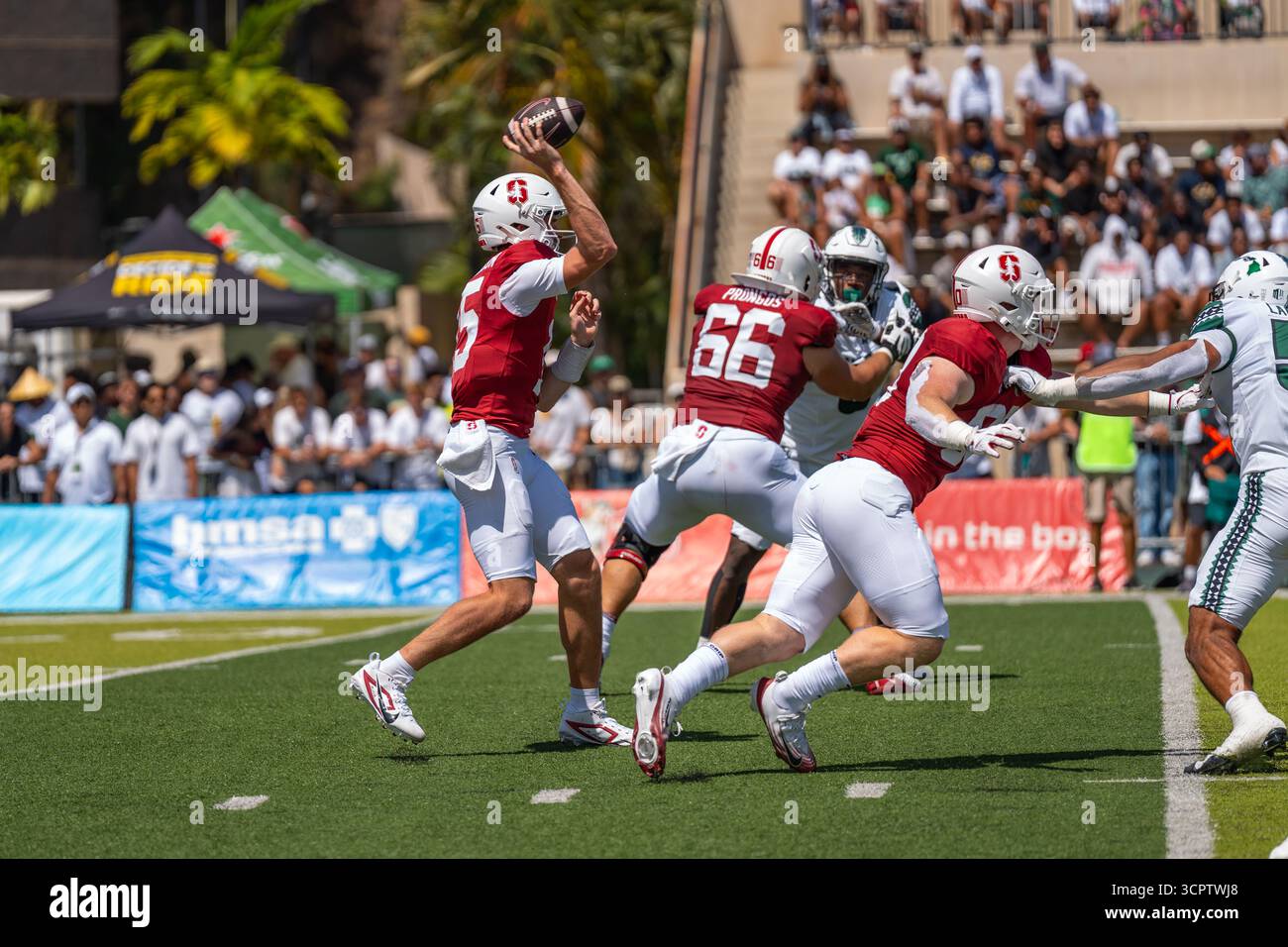 Redshirt quarterback senior #15 pour Stanford est prêt à lancer lors d'un match à enjeux élevés contre Hawaii. Idéal pour les images éditoriales sportives et NCAA. Banque D'Images