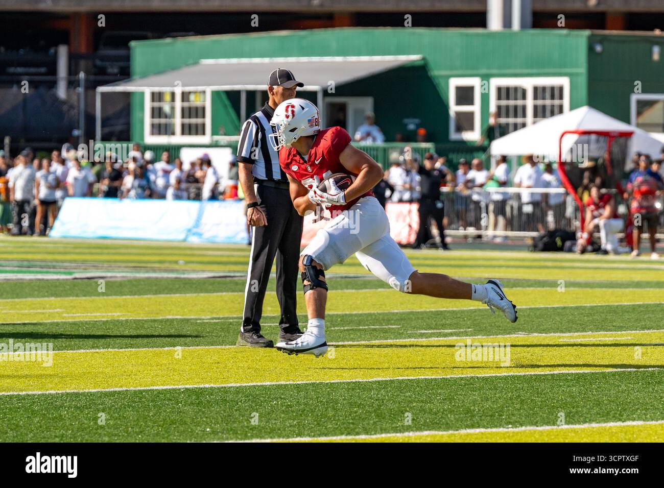 Redshirt sophomore Chico Holt fait une réception de 36 yards pour Stanford, sprint vers la zone d'extrémité avant d'être abattu dans un match clé contre Hawaii. Banque D'Images