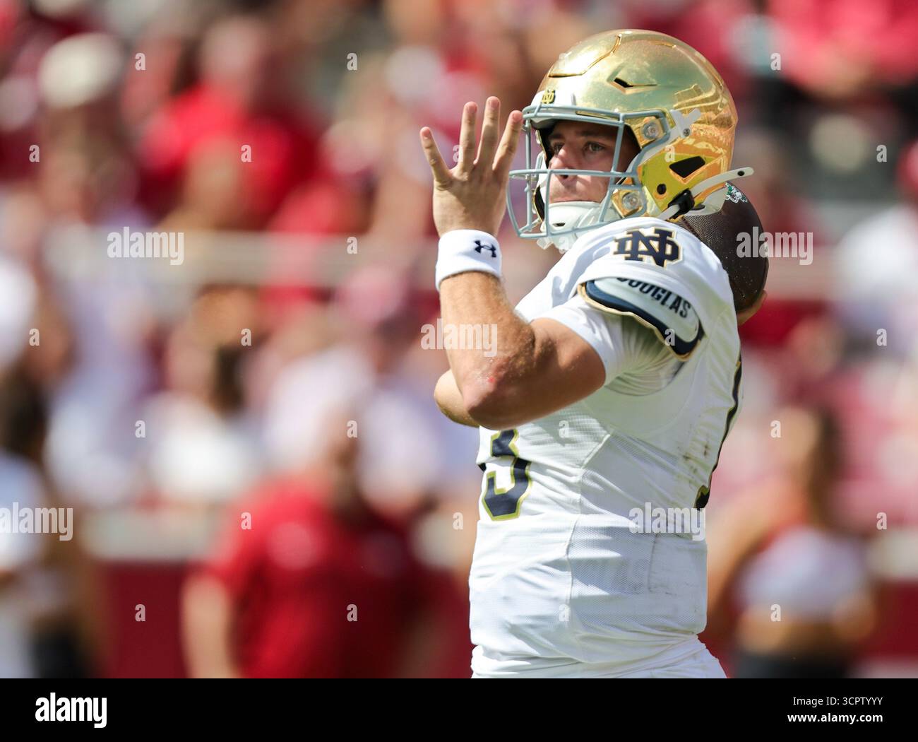 27 septembre 2025 : CJ Carr (13) notre Dame QB se prépare à lâcher le ballon sur le terrain. Norte Dame a battu l'Arkansas 56-13 à Fayetteville, AR. Richey Miller/CSM Banque D'Images